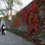 チューリッヒの秋