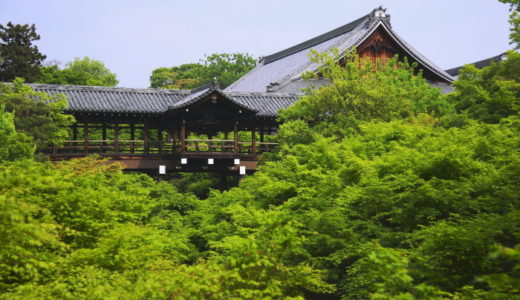 京都：　緑一色東福寺