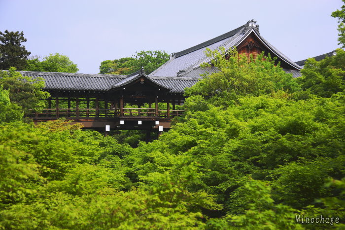 緑一色東福寺