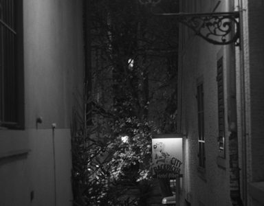 スイス：　チューリッヒの夜　（５）