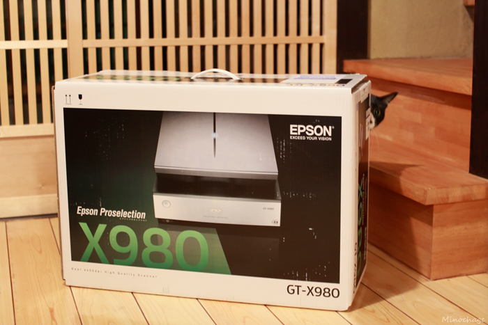 EPSON GT-X980