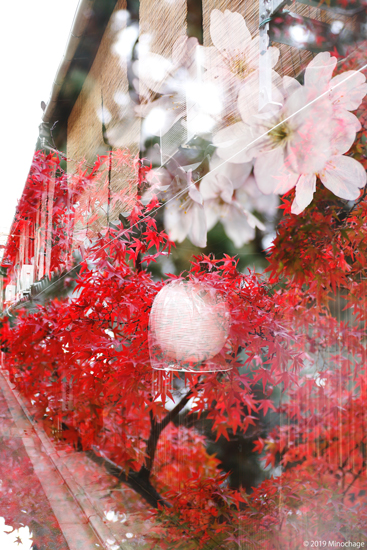 秋と春の多重露光を京都で楽しむ