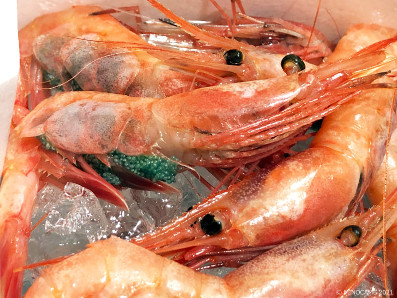 Quite sweet ＆fresh shrimp at Maizuru Port