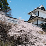 金沢城公園 石川門の桜吹雪
