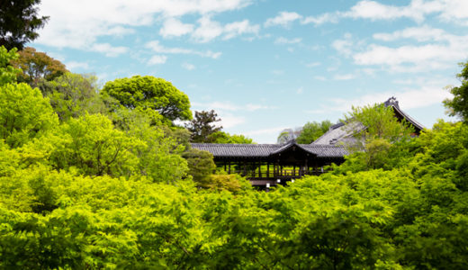 新緑溢れる京都