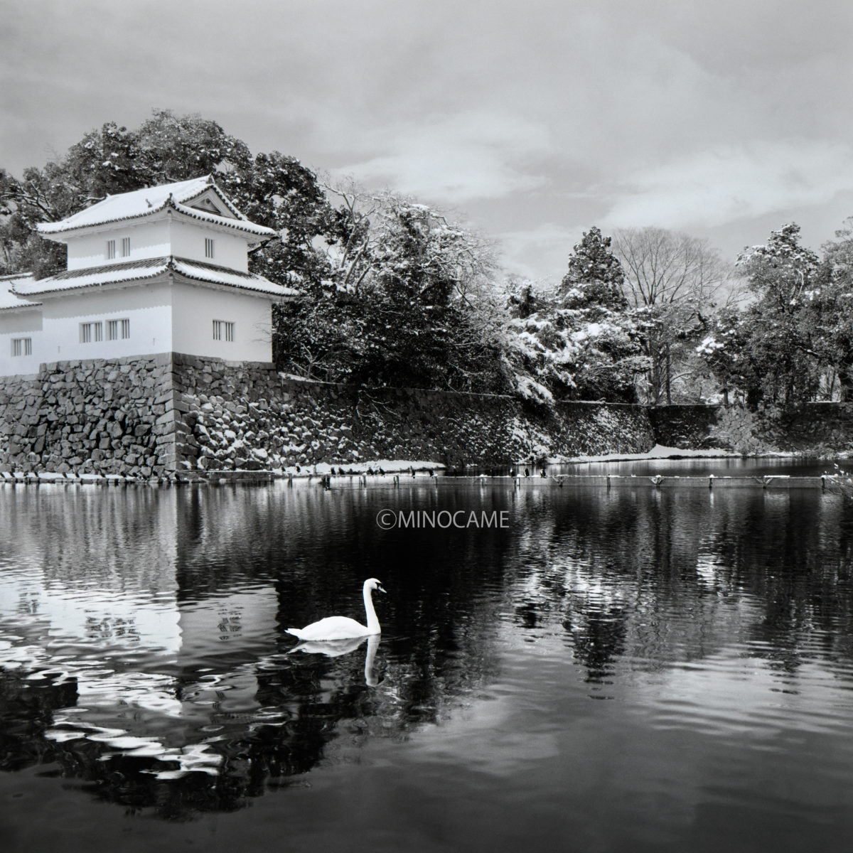 雪の彦根城　（滋賀県）